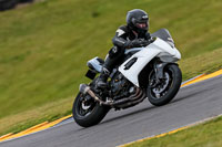 PJ-Motorsport-2019;anglesey-no-limits-trackday;anglesey-photographs;anglesey-trackday-photographs;enduro-digital-images;event-digital-images;eventdigitalimages;no-limits-trackdays;peter-wileman-photography;racing-digital-images;trac-mon;trackday-digital-images;trackday-photos;ty-croes